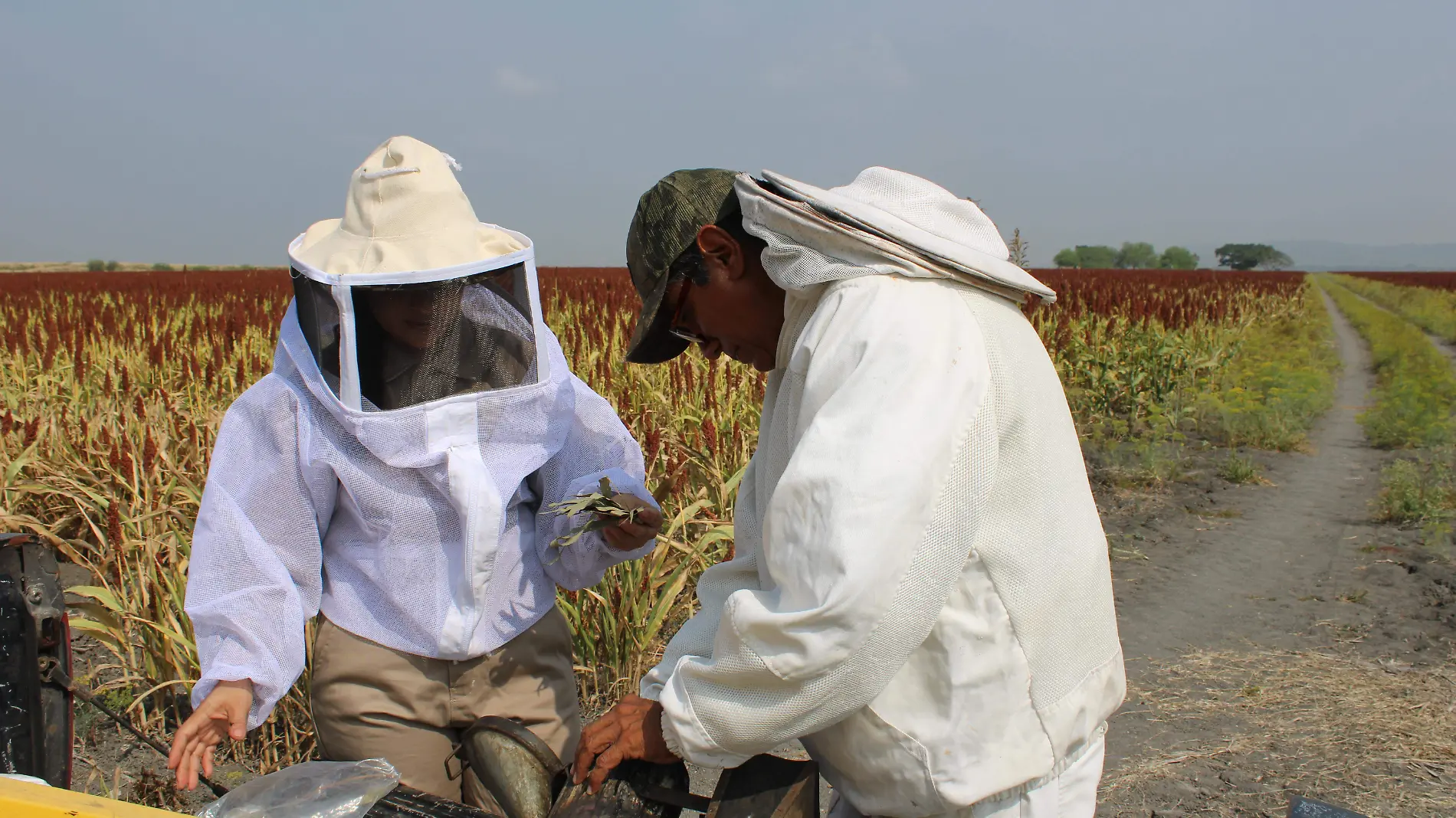 Junto con José Antonio Castillo, prepara el ahumador para trabajar dentro del apiario 